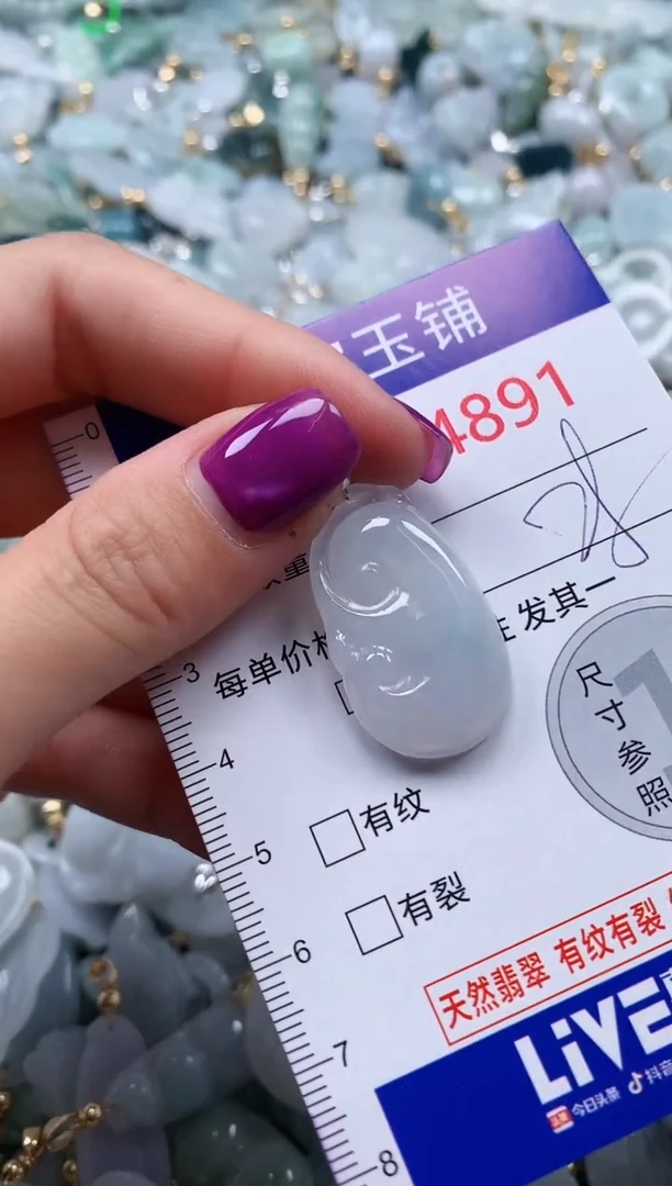 颈饰未镶嵌翡翠4891