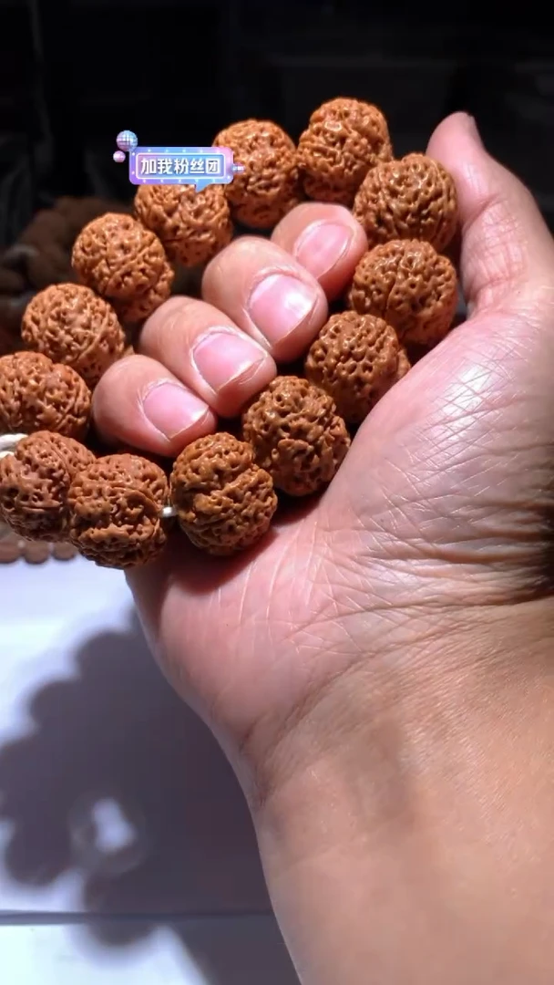 金刚菩提手串3299999999