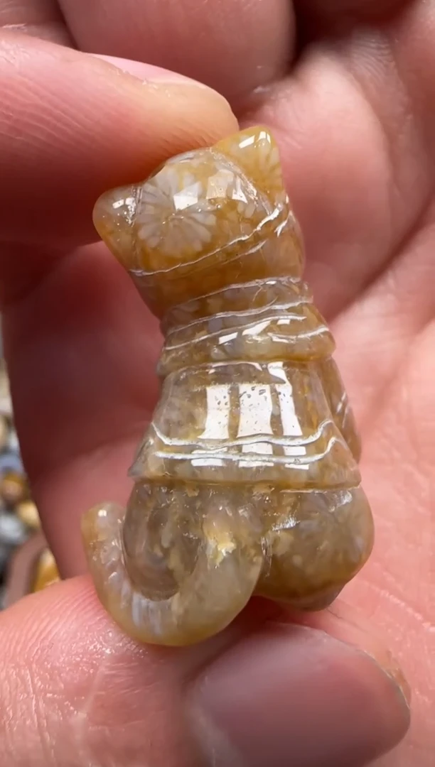 【闪购商品】硅化珊瑚（珊瑚玉）颈饰未镶嵌558