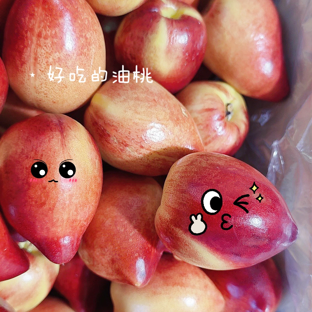 【山南同城配送】黄心油桃2斤到5斤新鲜当季黄肉油桃子油桃