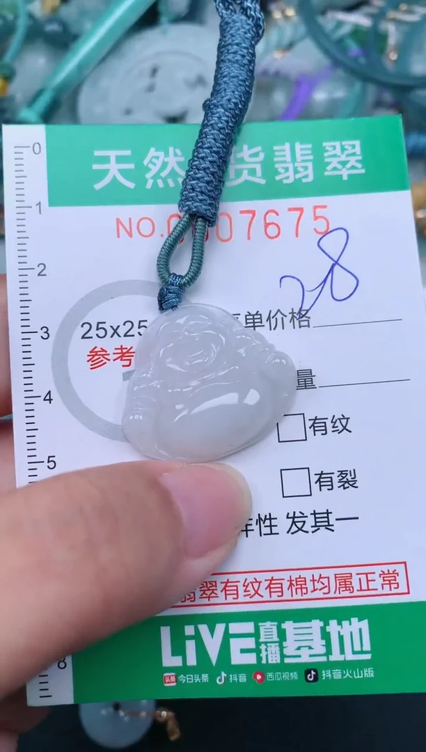 翡翠未镶嵌颈饰.0007675