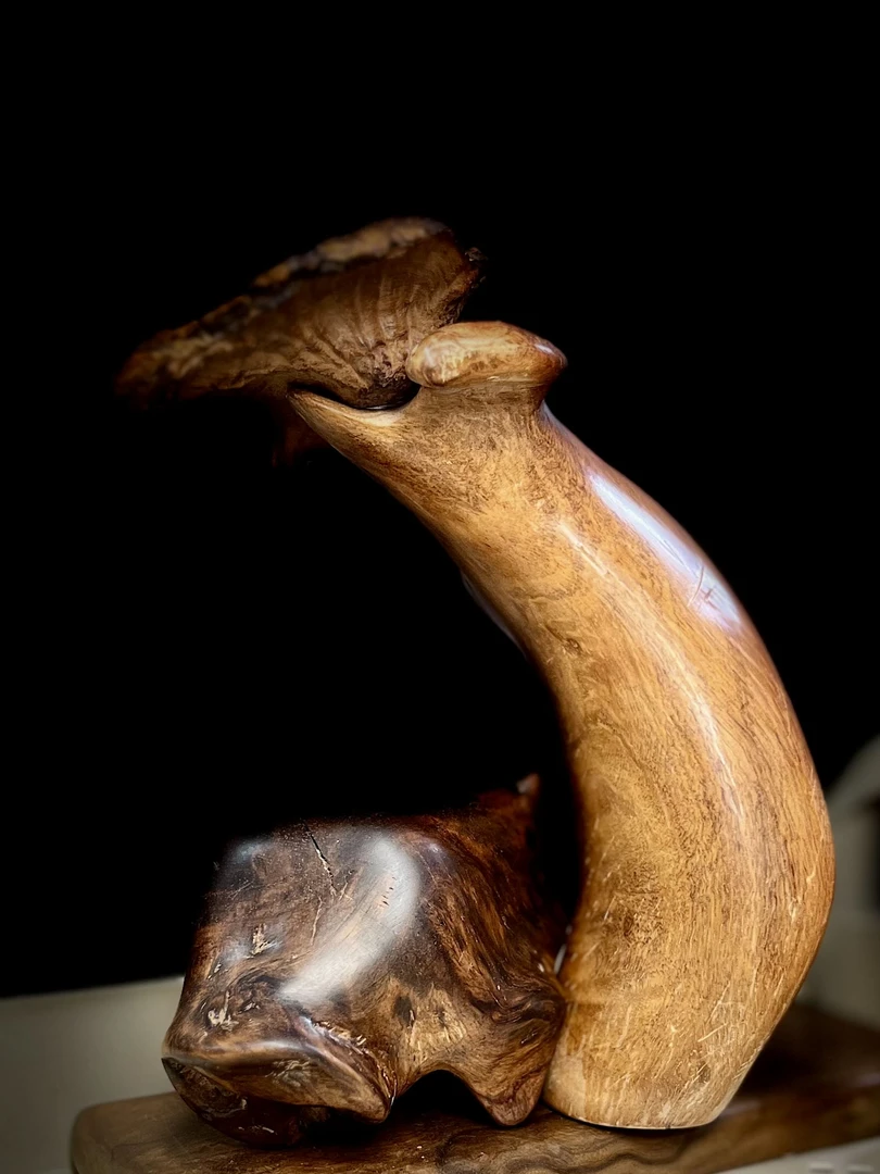 木原材料一手货源多样性发货