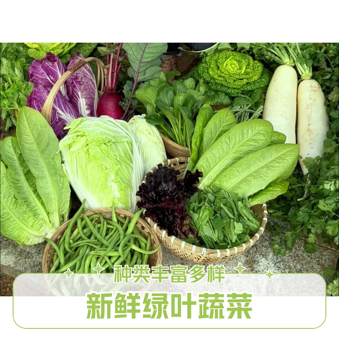 本地青菜