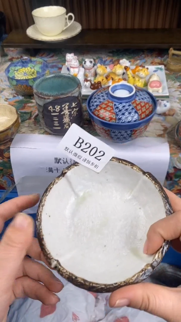 瓷片雪B202 瓷片  一物一拍