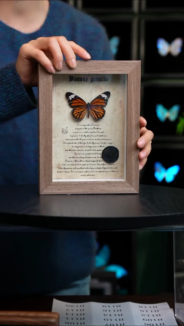 虎斑蝶7寸火漆原木框