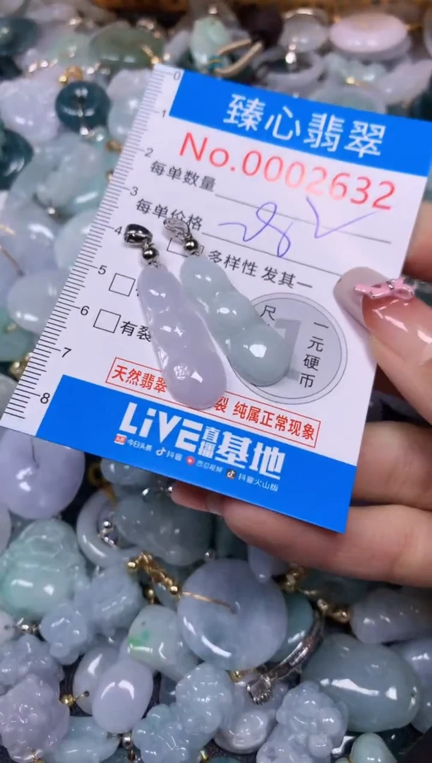 【闪购商品】翡翠颈饰未镶嵌含绳0002632