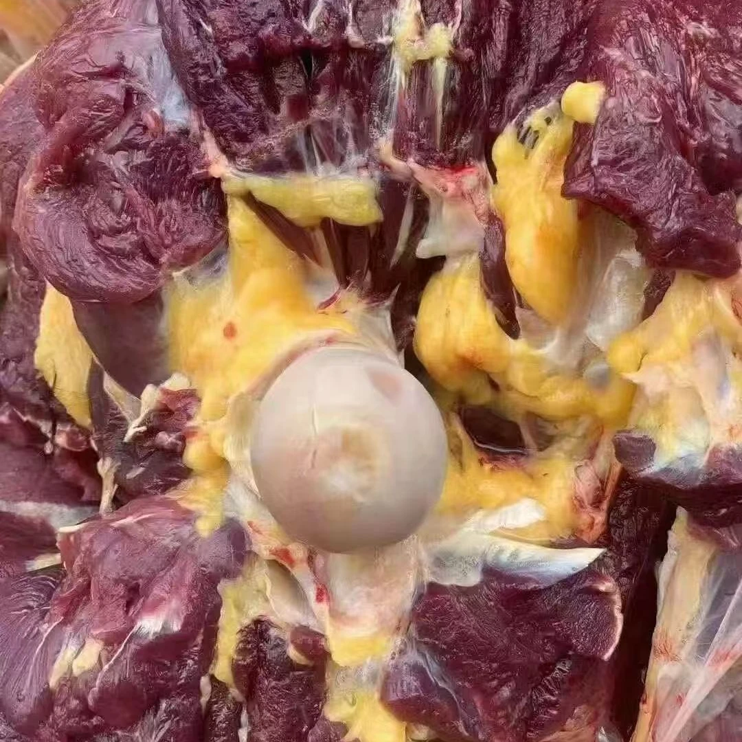 生鲜5斤纯草膘黄膘牦牛后腿肉肉质紧实 黄膘有淡淡奶香味