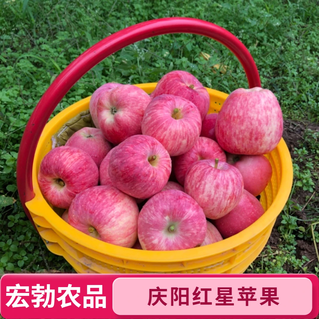 甘肃高塬庆阳红星苹果新鲜脆甜多汁高塬产地鲜果产地直发