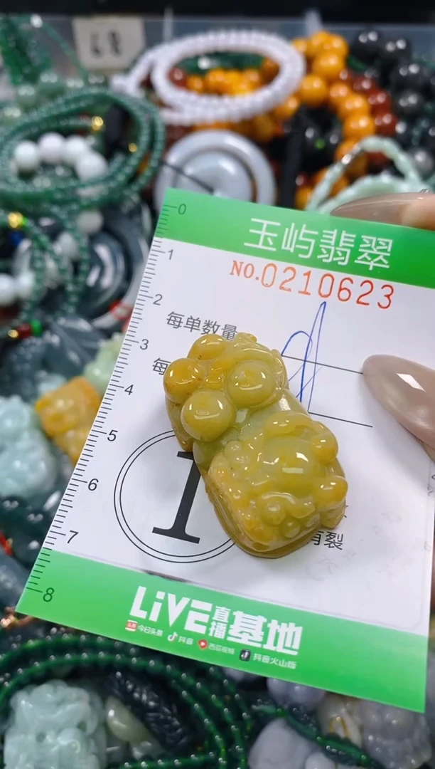 颈饰未镶嵌翡翠闪购0210623