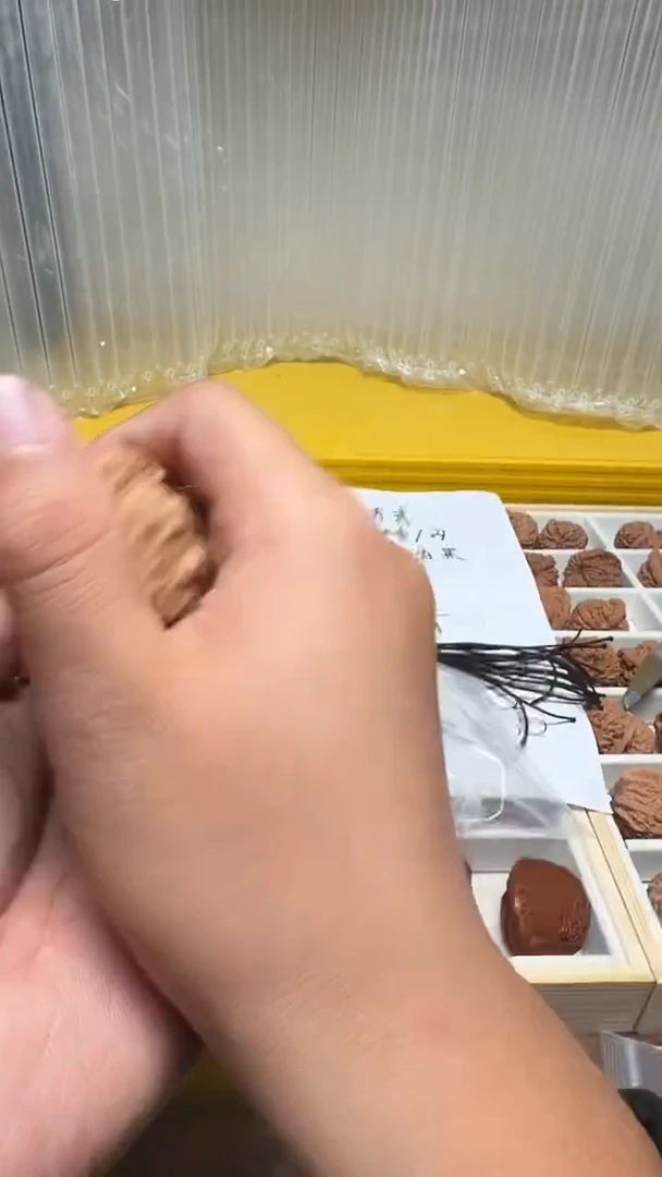 把件文玩核桃雪*42.5白狮子