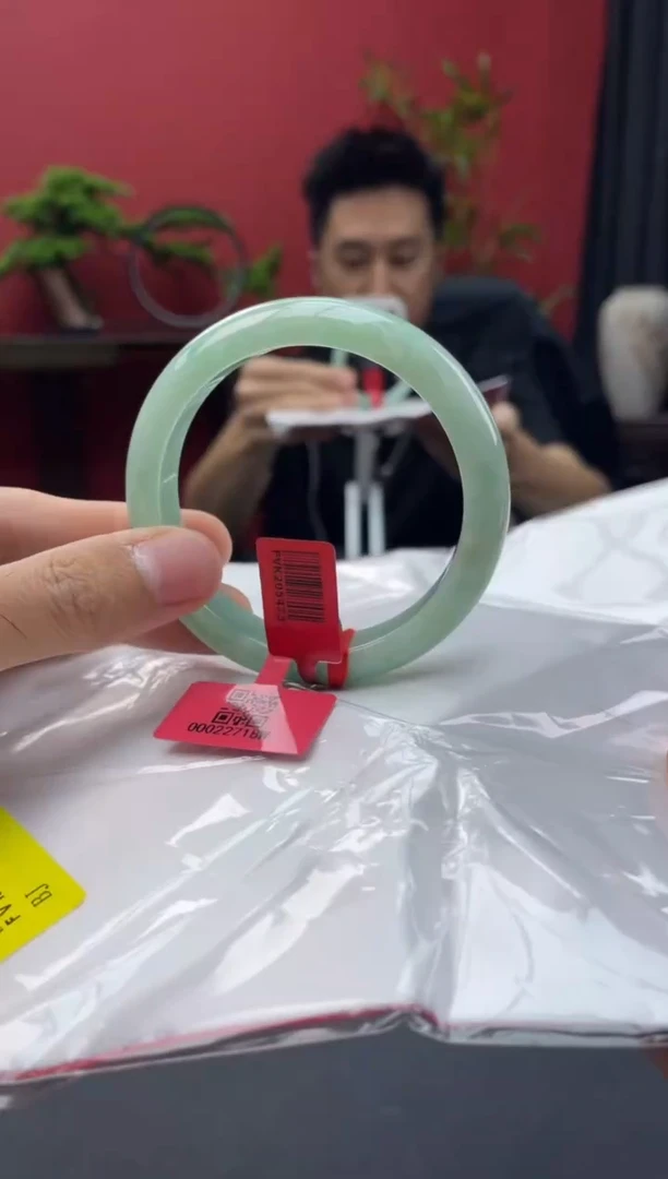 未镶嵌手镯翡翠15