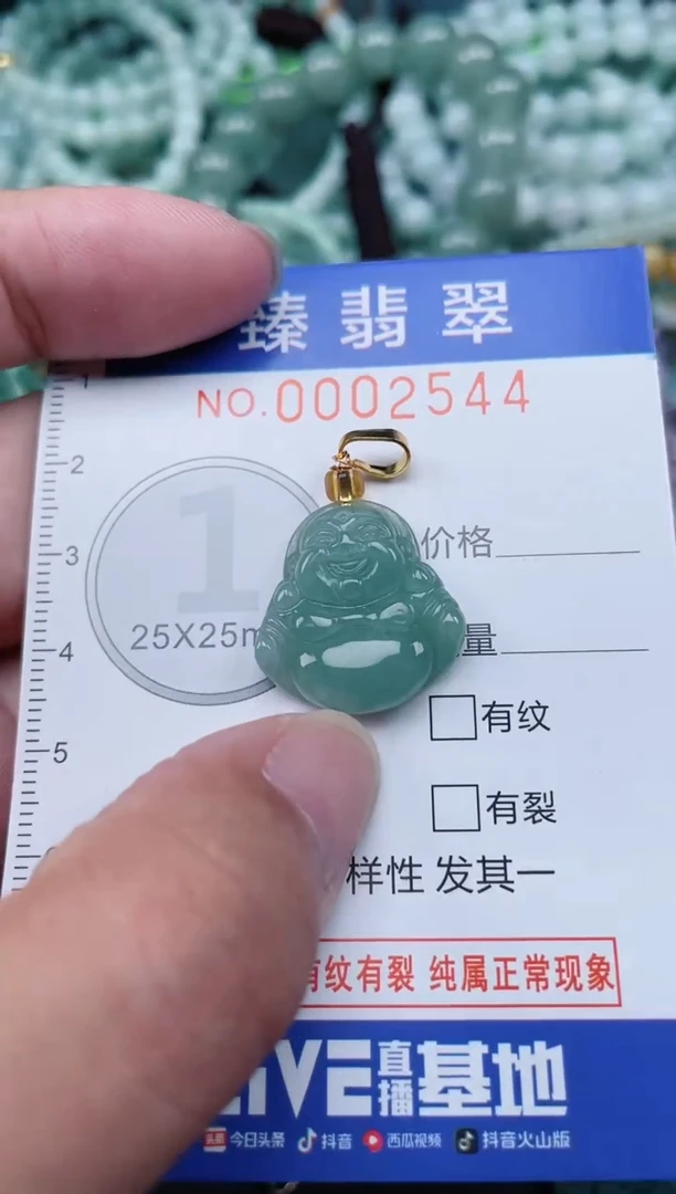 翡翠未镶嵌颈饰.0002544