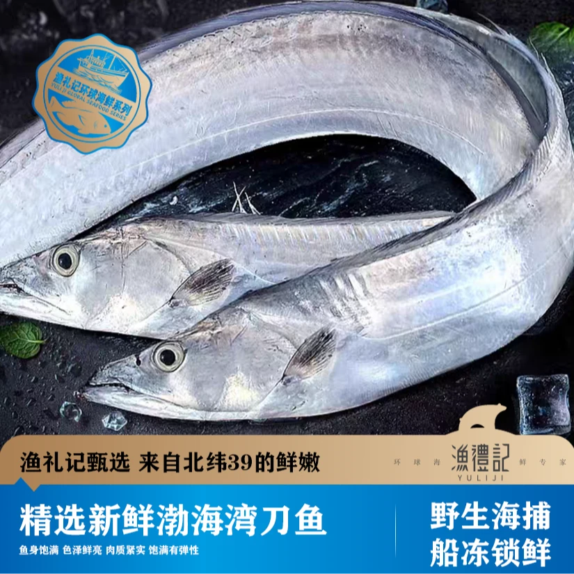 【渔礼记】大连渤海湾刀鱼超大带鱼海捕船冻无冰衣非舟山带鱼A