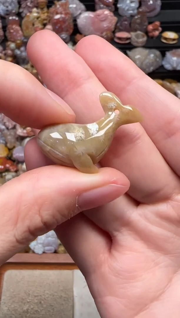 颈饰未镶嵌硅化珊瑚（珊瑚玉）497