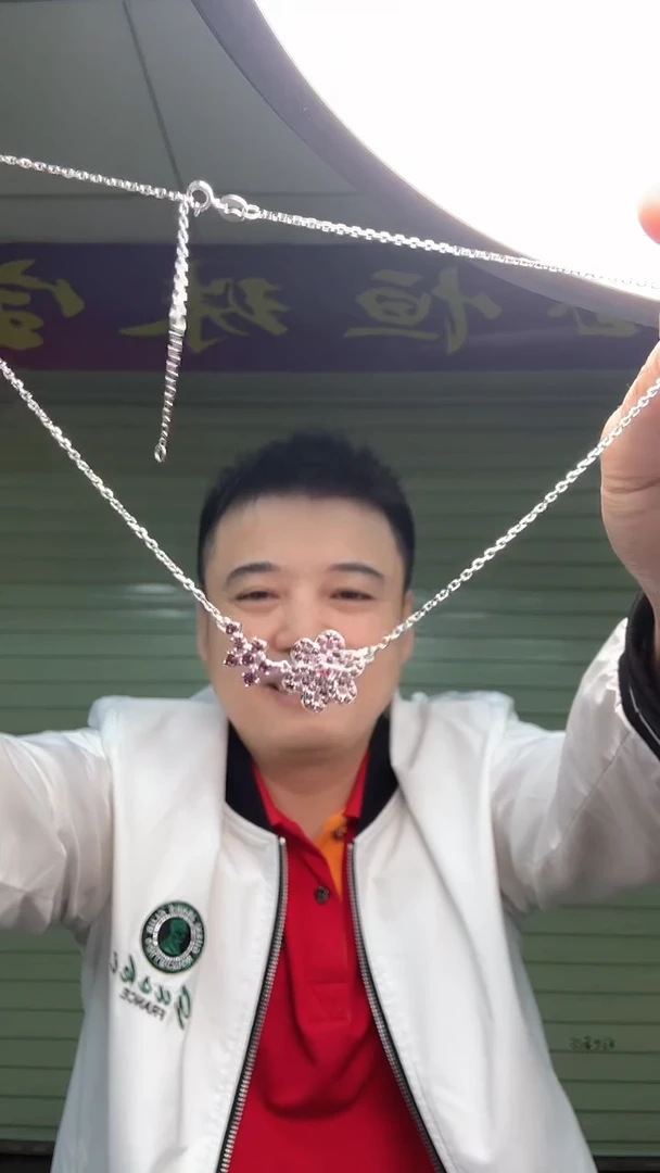 【闪购商品】银S925镶嵌颈饰紫晶一条