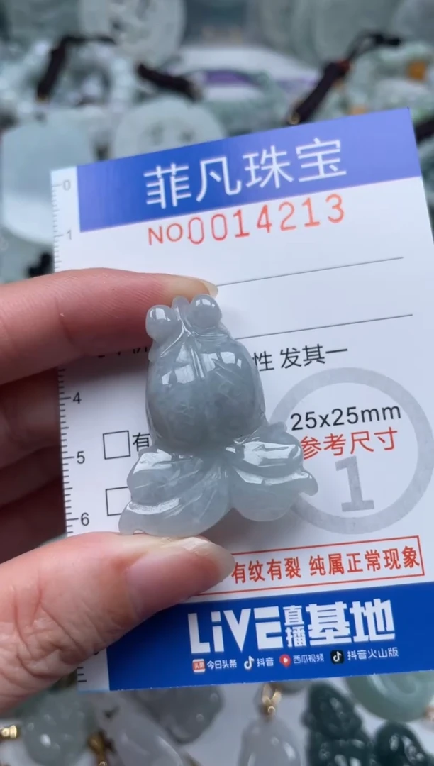 颈饰未镶嵌翡翠14213
