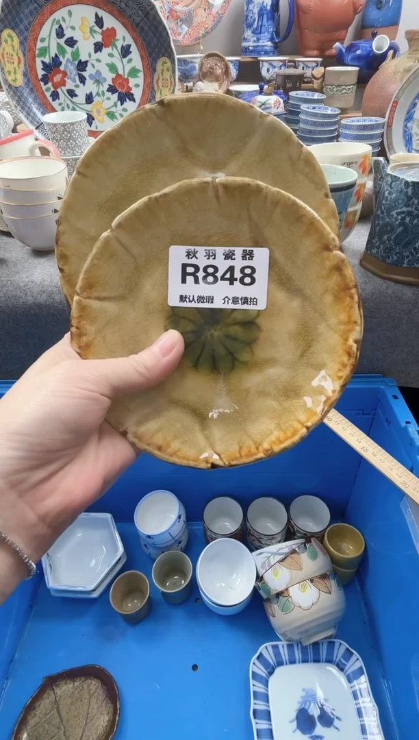 日式潘*清默认微瑕秋羽R848