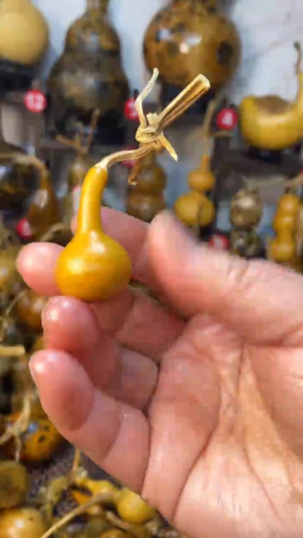 【闪购商品】葫芦葫芦葫芦葫芦葫芦葫芦