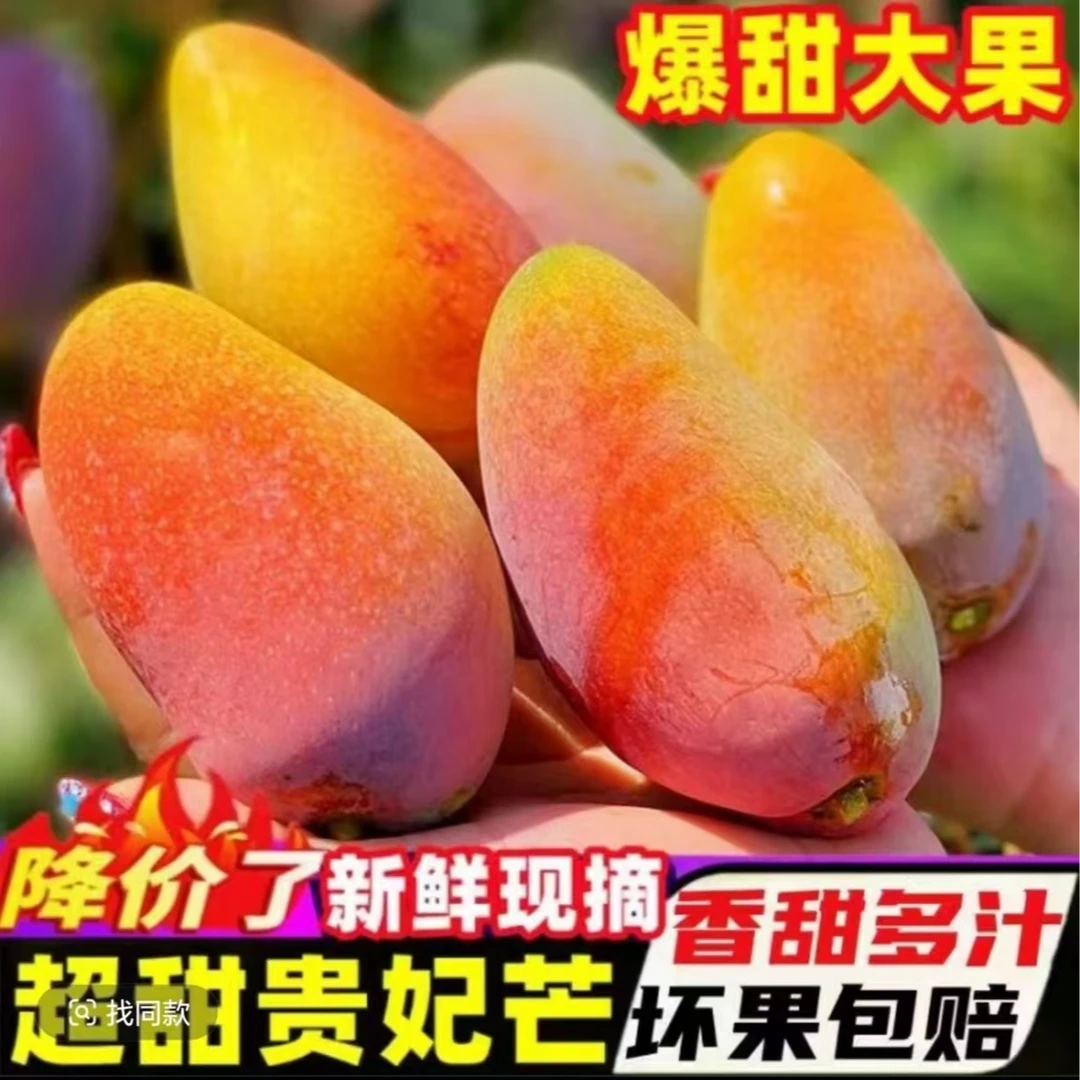 海南贵妃芒皮薄多汁香甜当季新鲜采摘芒果坏果包赔