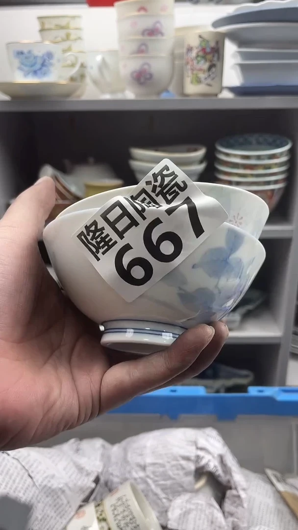 【闪购商品】瓷片longritaoci667