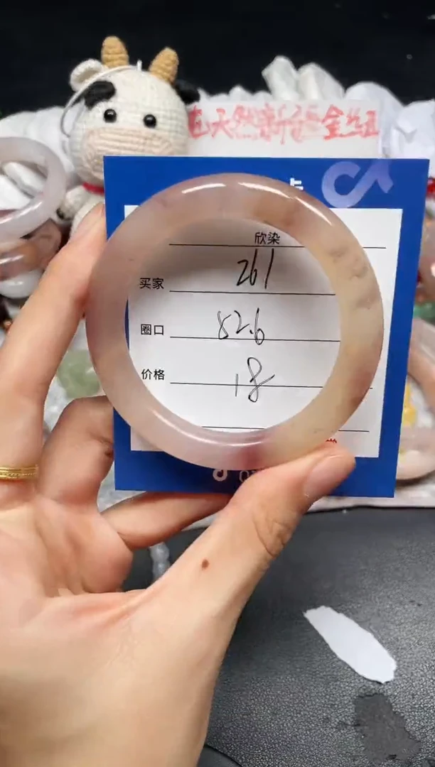 未镶嵌手镯石英质玉261