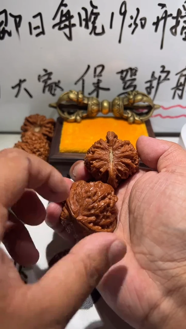 把件文玩核桃白狮子