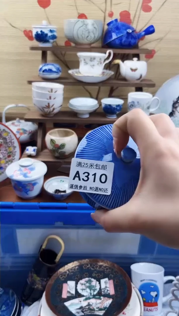 【闪购商品】a310==============