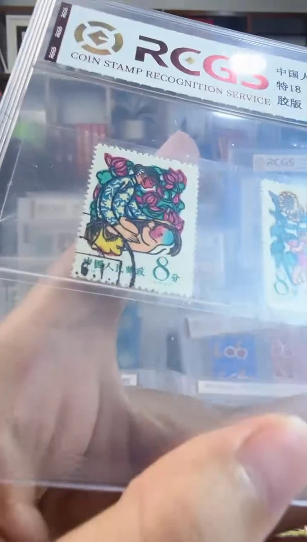 特18     儿童   盖销