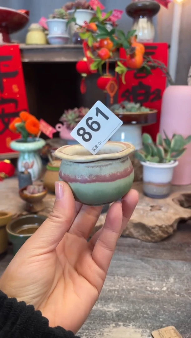 【闪购商品】摆件861知木小芳花盆