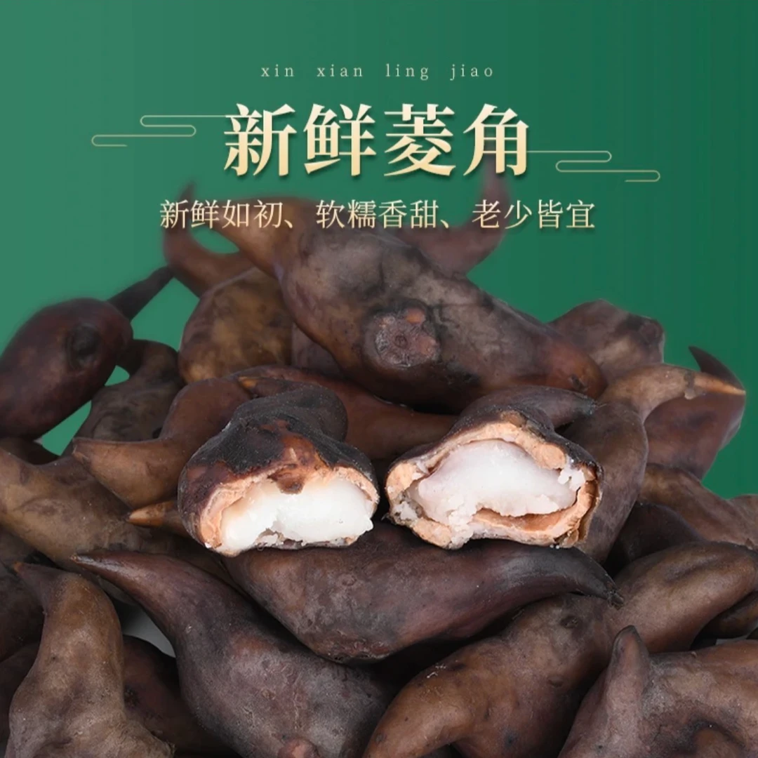【明日达】江苏特产菱角新鲜粉糯老菱角现摘现发 1 斤/3 斤/5 斤顺丰包邮江苏省