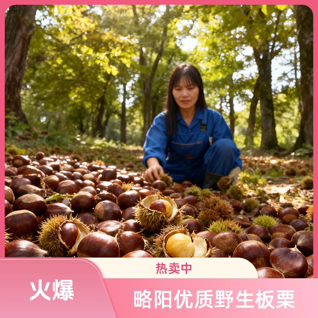 秦岭野生小板栗生板栗野生板栗野生毛栗子略阳板栗2500g