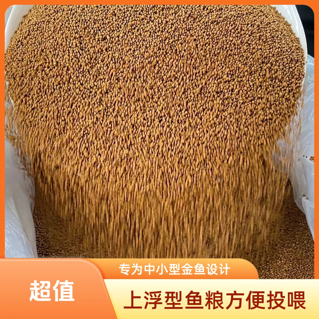 渔场自用金鱼专用高蛋白鱼粮上浮型