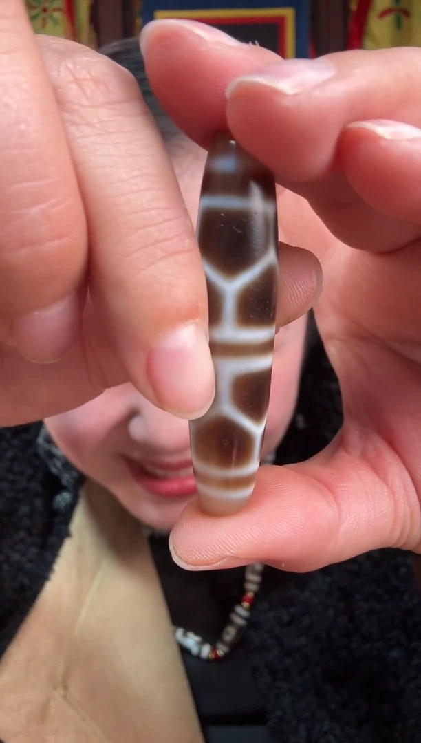 无非金属藏地龟甲古珠