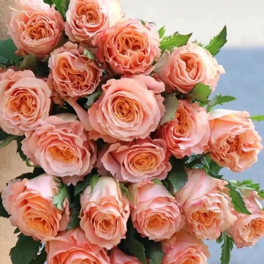 61微光10支+喷色丁香紫波浪桔梗6朵+紫铃铛花一小把+白紫罗兰一把