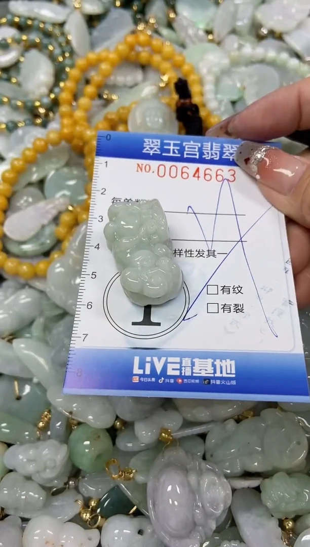 【闪购商品】翡翠颈饰未镶嵌闪购商品0064663