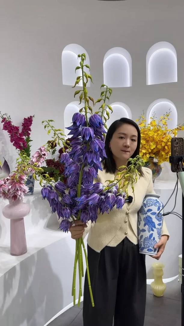 【闪购商品】藤6枝深紫色风铃（不含花瓶）