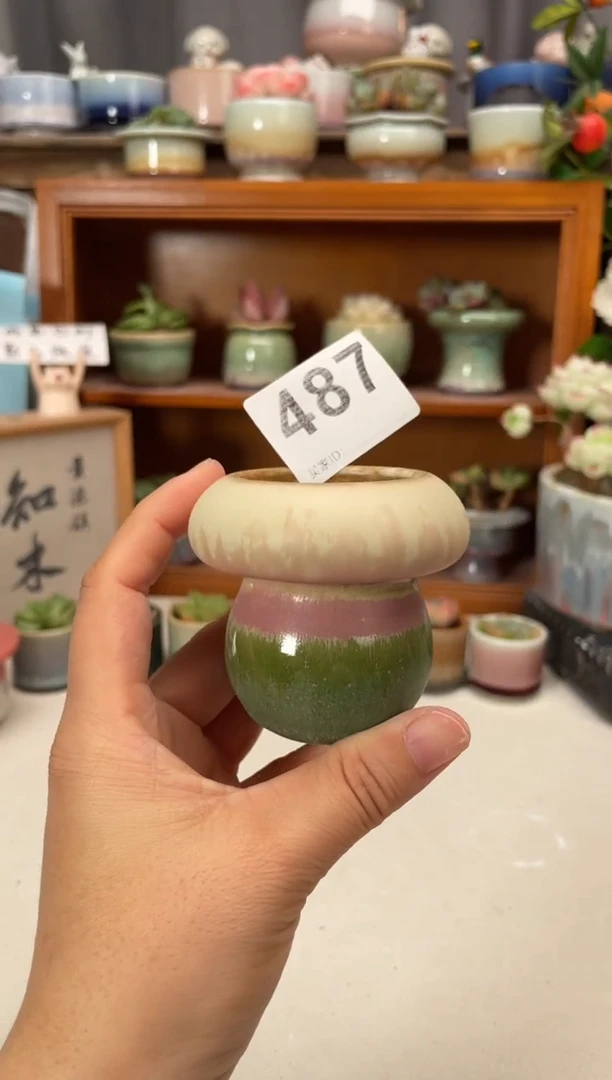瓷片487知木小芳花盆