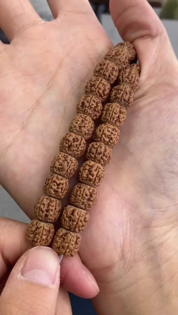 手串金刚菩提藏式盘龙