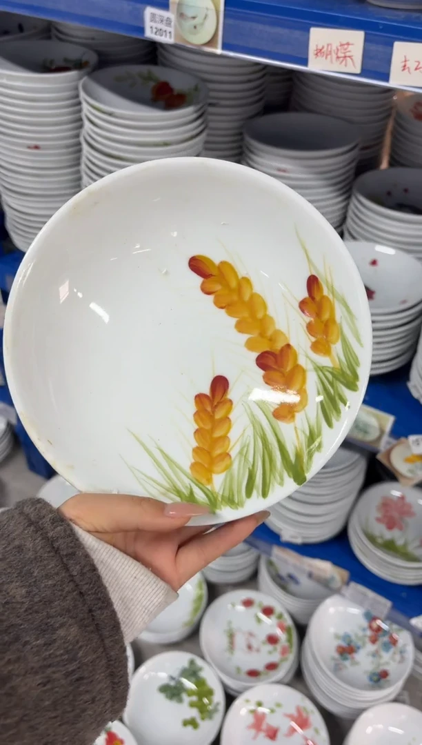 瓷片景德镇高温陶瓷食品级手绘釉中彩-圆深盘