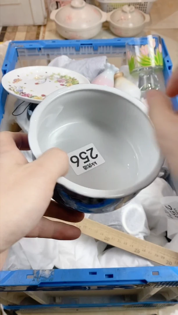 【闪购商品】瓷片256定向 柳絮儿定向 柳絮儿