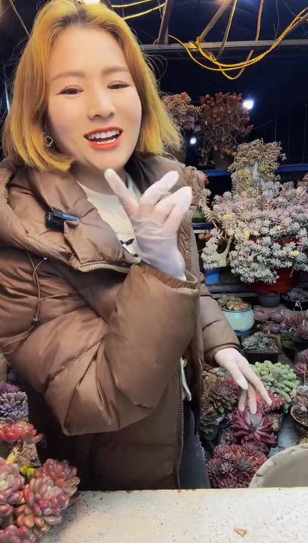 白*雪莲缀大群一物一拍