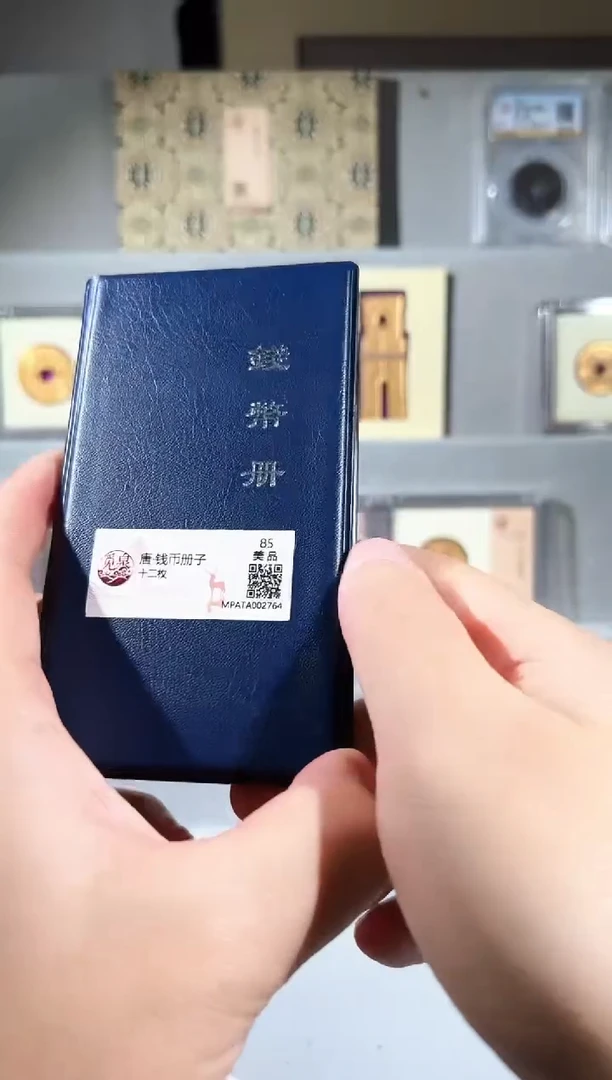 铜唐 钱币册子12枚 一套（送会昌开元一个）