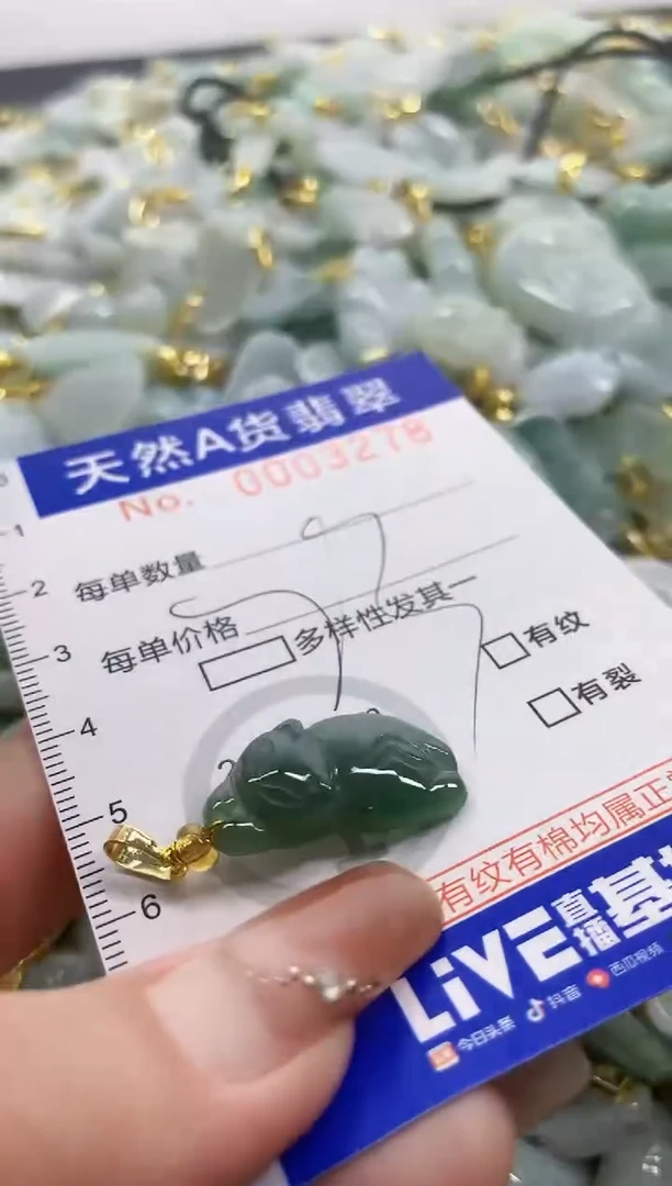 颈饰未镶嵌翡翠天然A货翡翠