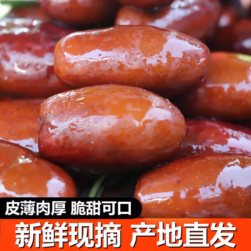 宁夏灵武长枣脆甜大枣红长枣鲜枣当季水果现摘产地直发孕妇非冬枣