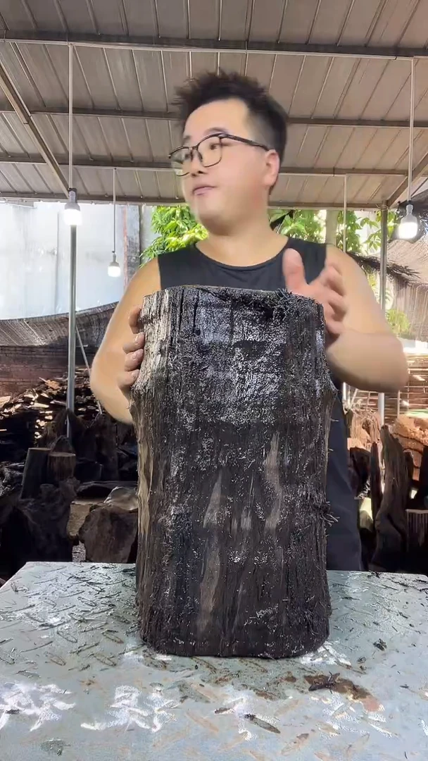 金丝楠小叶桢楠154