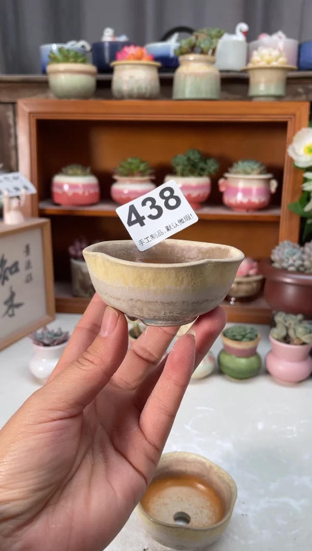 瓷片438小芳直播编号