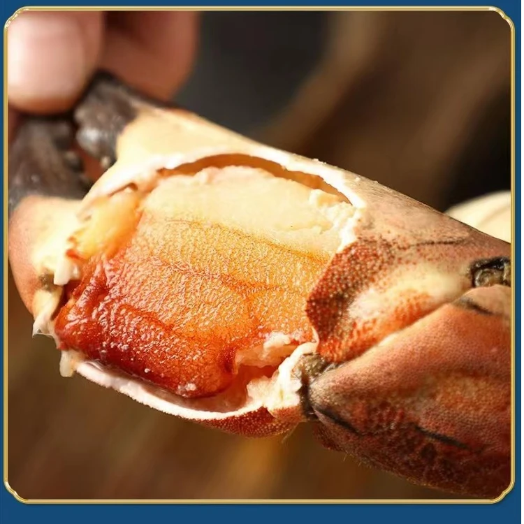 新鲜熟冻面包蟹蟹钳（单独蟹钳只有蟹钳）