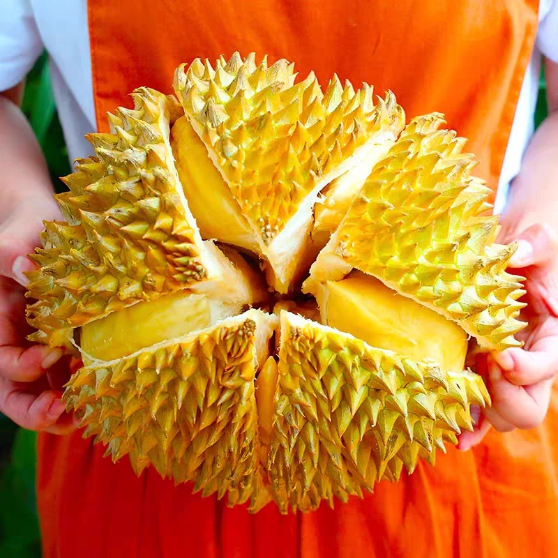 【泰国树熟金枕】榴莲小时达新鲜鲜果现开软糯香甜核小0.8-9斤金枕泰国