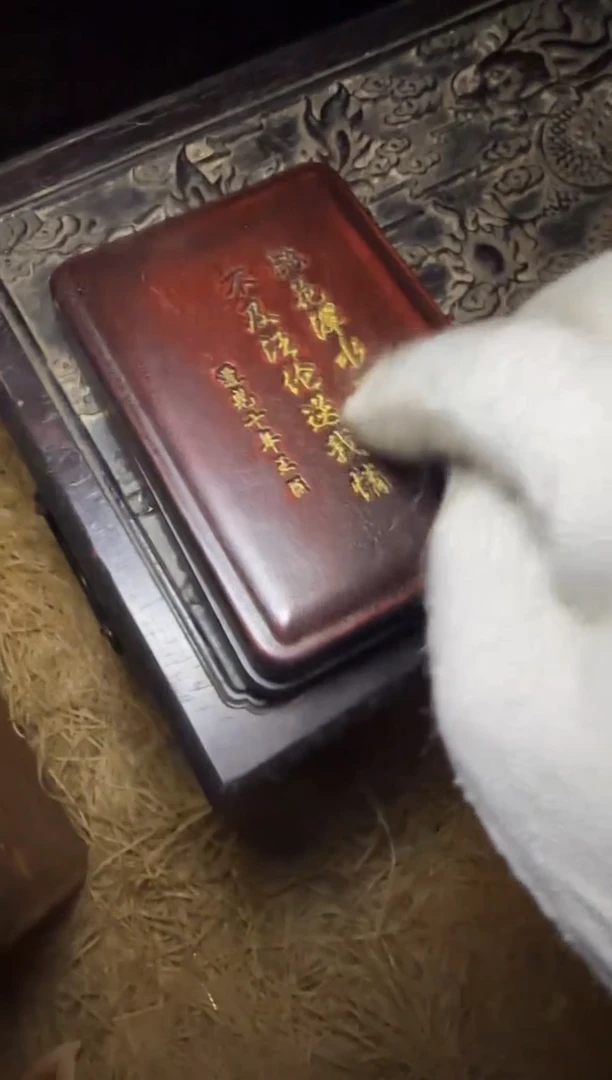 木-----------福利-----------