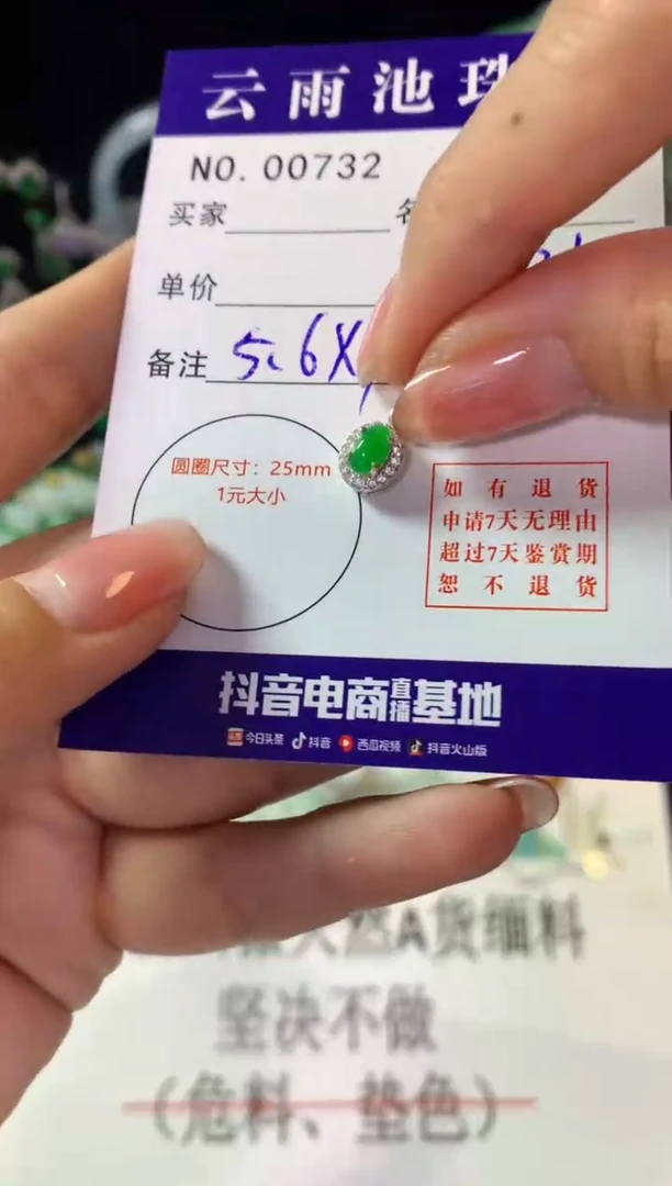 翡翠银S925镶嵌颈饰翡翠